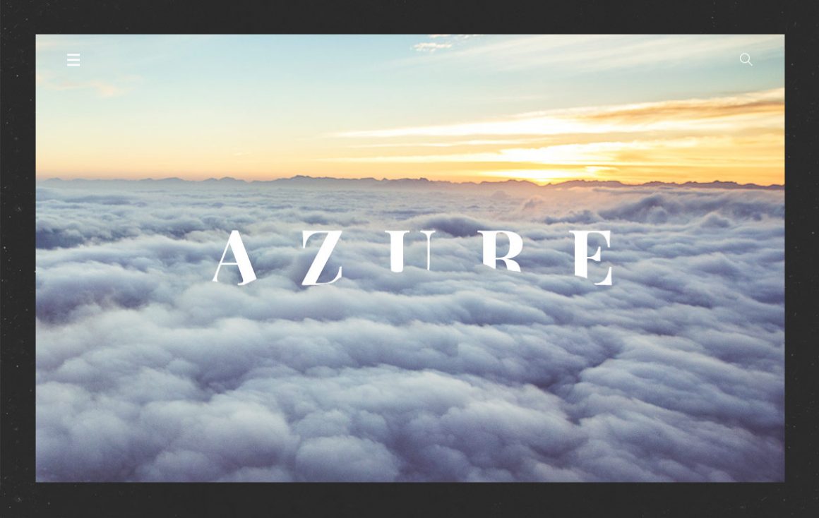1 Company Identity