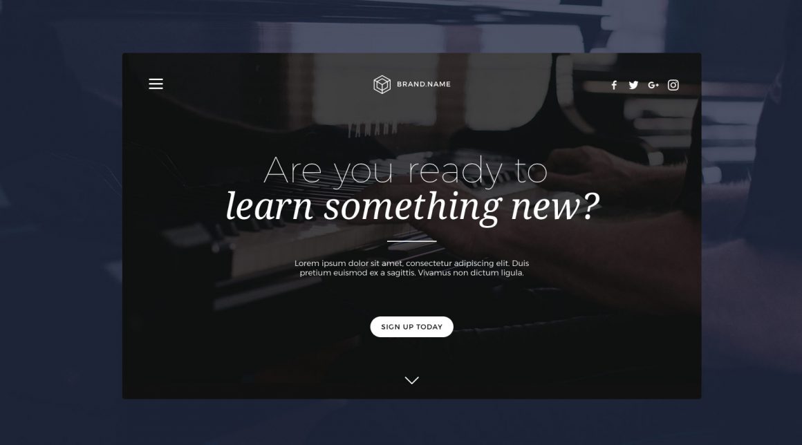 5 Identity & Website design